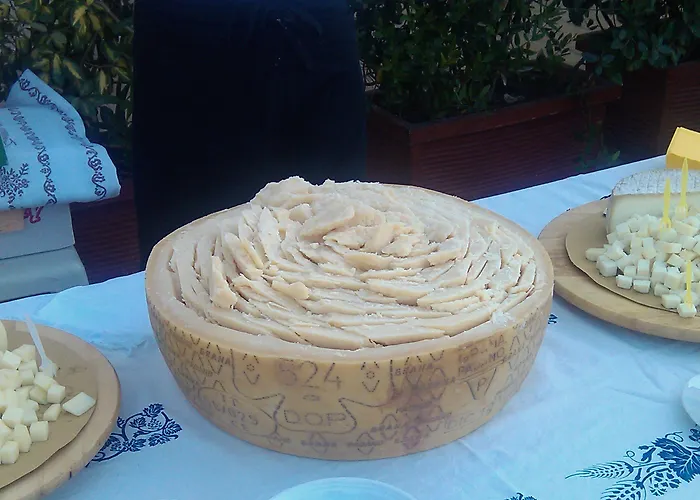 Diana Viserbella di Rimini