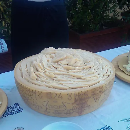 Diana Viserbella di Rimini